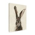 thumbnail image 2 of Ethan Harper 'European Hare II' Canvas Art, 2 of 3