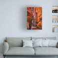 thumbnail image 3 of Trademark Fine Art 22 x 32 Still life Canvas Art ' Cotton Still Life II Blue ' by Julia Purinton, 3 of 3