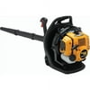 Poulan Pro Bp30 Gas Backpack Blower