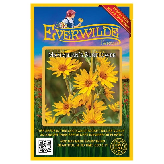 Everwilde Farms - 800 Maximilian Sunflower Native Wildflower Seeds - Gold Vault Jumbo Bulk Seed Packet