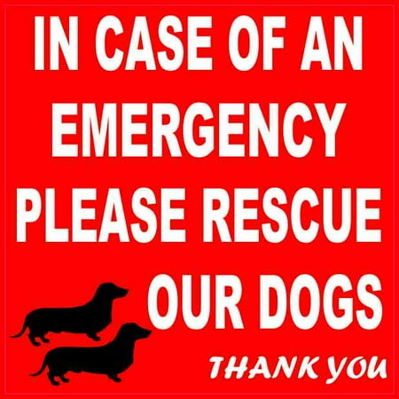 Dachshund Rescue - 4in x 4in Dachshund Please Rescue Our Dogs Magnet