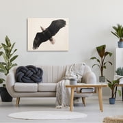 Stupell Industries Eagle Flying Overhead Vintage Bird Sepia Tone Photography, 40 x 30,Design by Nancy Crowell