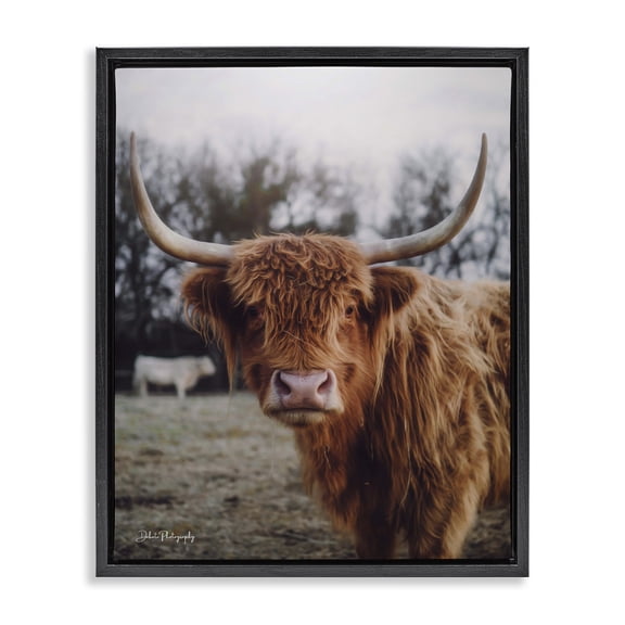 Stupell Industries Rustic Lodge Highland Cattle Cow Gazing Warm Sunny Portrait Black Floating Frame Canvas Art, 17 x 21, by Dakota Diener