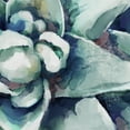 thumbnail image 3 of Fine Art Canvas Watercolor Succulent Bloom Square Blue by Studio Arts Canvas Art Print, 3 of 4