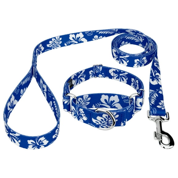 Country Brook Petz® 3/8 inch Royal Blue Hawaiian Martingale Dog Collar and Leash, Mini