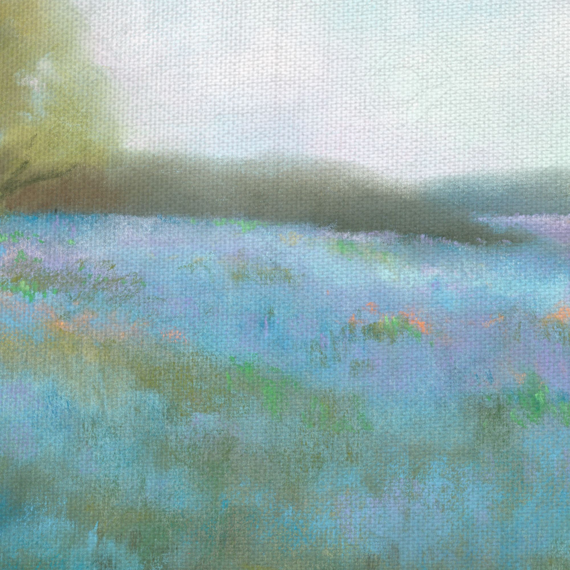 Fine Art Canvas Spring Blues II Meadow Blossoms by Teri Jonas Canvas Art Print