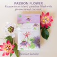thumbnail image 3 of Paquete de bolsitas perfumadas WillowBrook Fresh Scents Passiflower, 3 of 9
