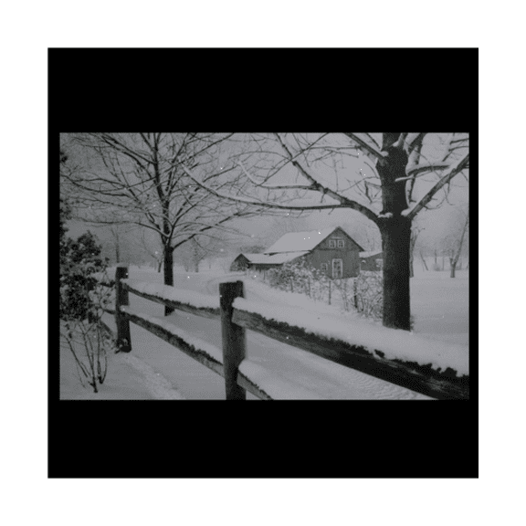 Northlight Home Decor and Furniture, White