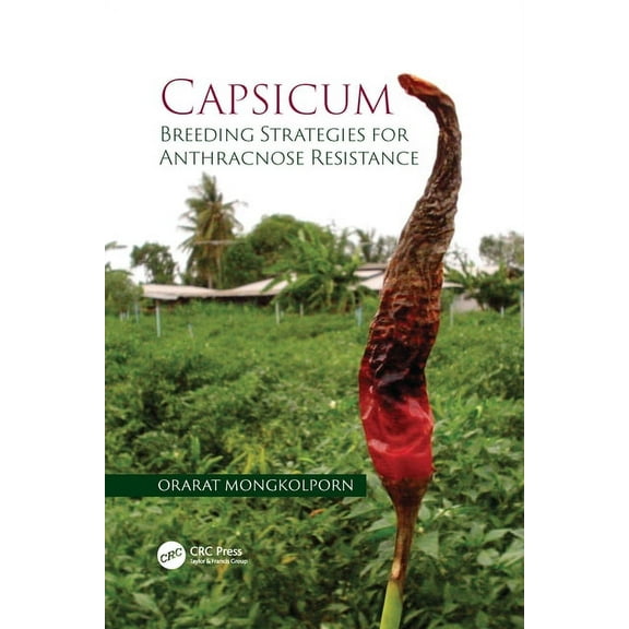 Capsicum: Breeding Strategies for Anthracnose Resistance, (Paperback)