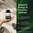 thumbnail image 4 of NatureBell 3-in-1 Sea Moss - 240 Vegetarian Capsules - Sea Moss Complex with Organic Bladderwrack & Organic Burdock Root - Healthy Digestion, Vitality & Immune Support - 120 Servings, 4 of 8