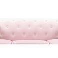 thumbnail image 5 of Pompano 62" Pink Tufted Velvet Loveseat with 2-Throw Pillow, 5 of 5