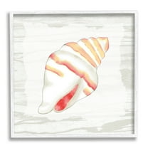 Stupell Industries Conch Shell Patterned Animals & Insects Painting White Framed Art Print Wall Art, 12 x 12