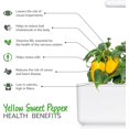 thumbnail image 3 of Click and Grow Gousses de Poivron Jaune de Jardin Intelligentes, Pack de 3, 3 of 4