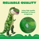thumbnail image 3 of JOYIN 30 "" T-Rex dinosaurio inflable juguete decoraciones de fiesta regalos de cumpleaños para niños y adultos, 3 of 7