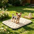 thumbnail image 4 of Gcvizuso Summer Cooling Mat & Sleeping Pad, Cooling Blanket for Dogs, Pet Cooling Mat for Cats, Cooling Mat, Materials Safe, Easy Carry & Clean, Keep Cooling for Pets, 24 x 20 in, 4 of 8
