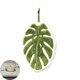 thumbnail image 5 of Toalla de mano de hoja verde, suave y absorbente, con hojas de alocasia y hojas de monstera, con lazo para colgar, ideal para el hogar, el baño y la cocina., 5 of 8