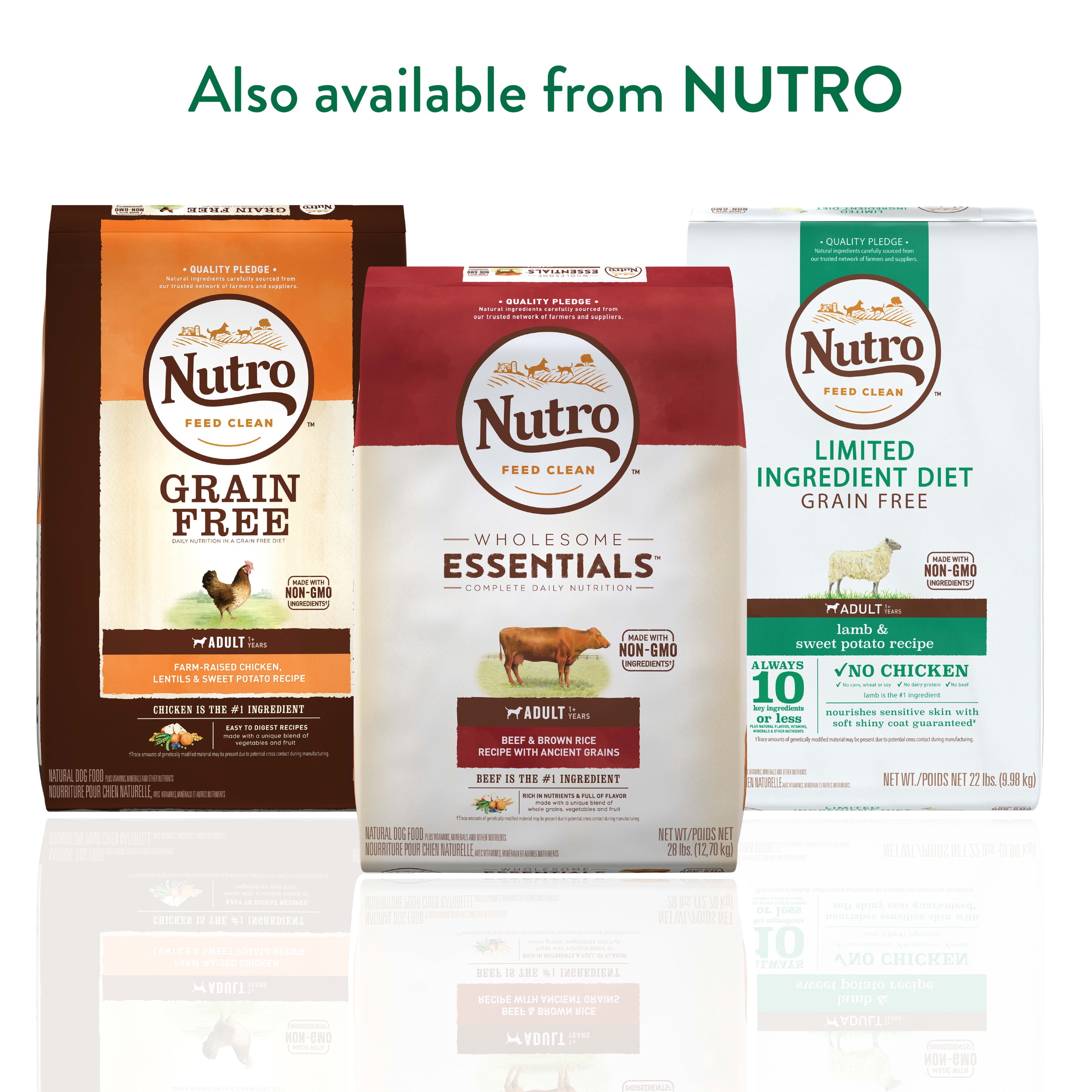 NUTRO WHOLESOME ESSENTIALS Natural Adult Dry Dog Food Lamb & Rice Recipe, 15 lb. Bag