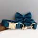 thumbnail image 3 of Typpkmm Personalized Dog Collar with Leash Set Custom，Custom Logo, 3 of 7