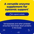 thumbnail image 2 of Enzymedica, SerraGold, High-Potency Serrapeptase Enzyme Supplement, Supports Respiratory, Heart & Immune Function, 60 Count, 2 of 8
