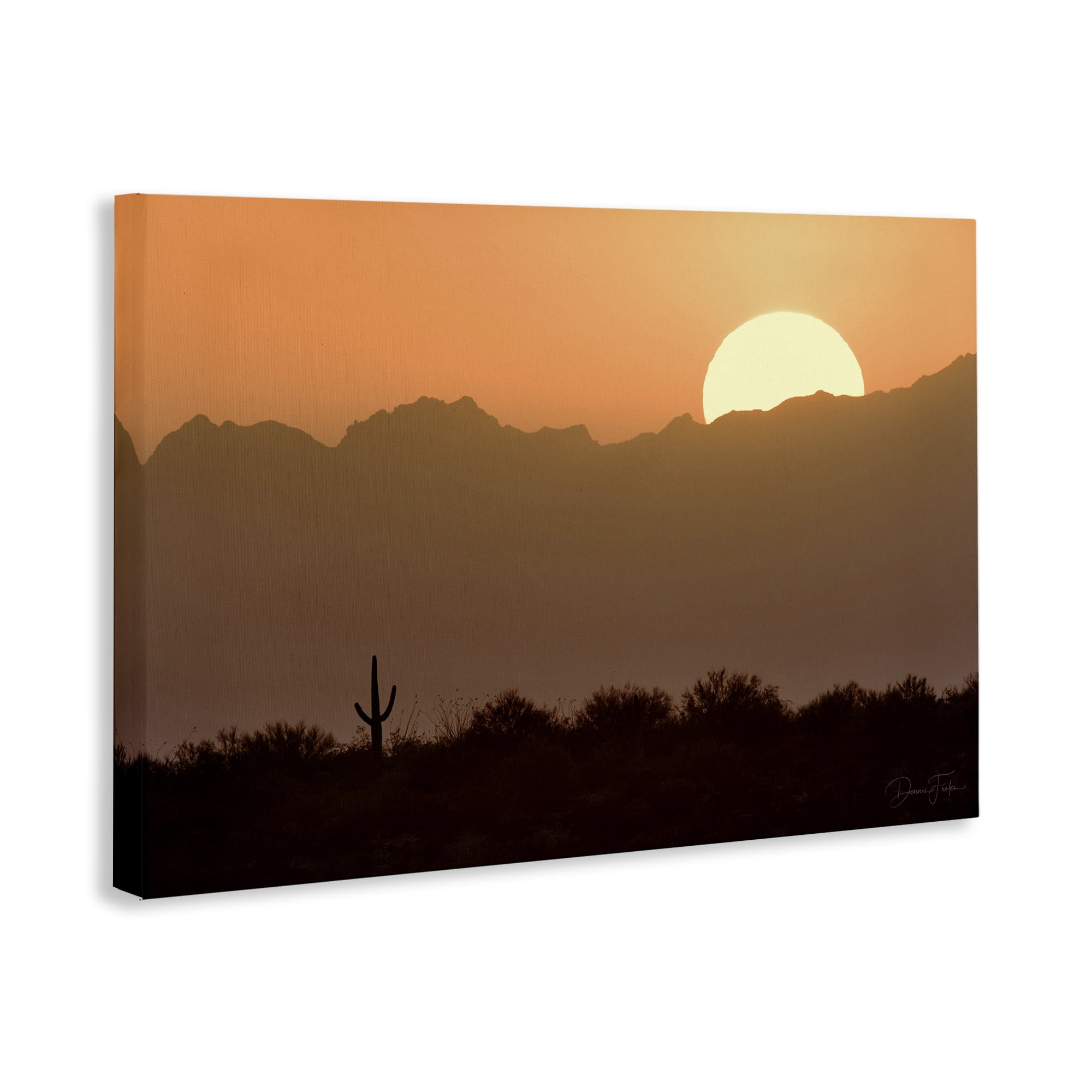 Stupell Industries Sunlit Desert Cactus Landscape & Nature Photography Wrapped Canvas Art Print Wall Art, 36 x 24
