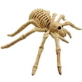 thumbnail image 4 of Modelo de esqueleto de araña modelo de esqueleto realista horrorizado para decoración de Halloween, 4 of 6