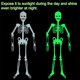 thumbnail image 3 of Esqueleto luminoso de Halloween iluminado, fantasma, decoración de puerta de patio al aire libre, decoraciones de esqueleto de cuerpo humano para colgar, 3 of 4