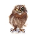 thumbnail image 2 of Shefranov, Olga 20x24 Gold Ornate Wood Framed with Double Matting Museum Art Print Titled - Wonky Eye, 2 of 4
