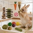 thumbnail image 4 of Animal Chews Toy Natural Wood Block Cage Hanging Molars Treats Snack for Hamsters Rabbits Bunny Bird Parrots Chinchilla Guinea Pig, 4 of 6