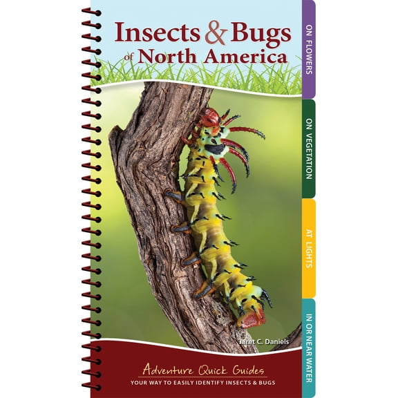 Pre-Owned Insects & Bugs of North America: Your Way to Easily Identify Insects & Bugs (Spiral-bound) 159193818X 9781591938187