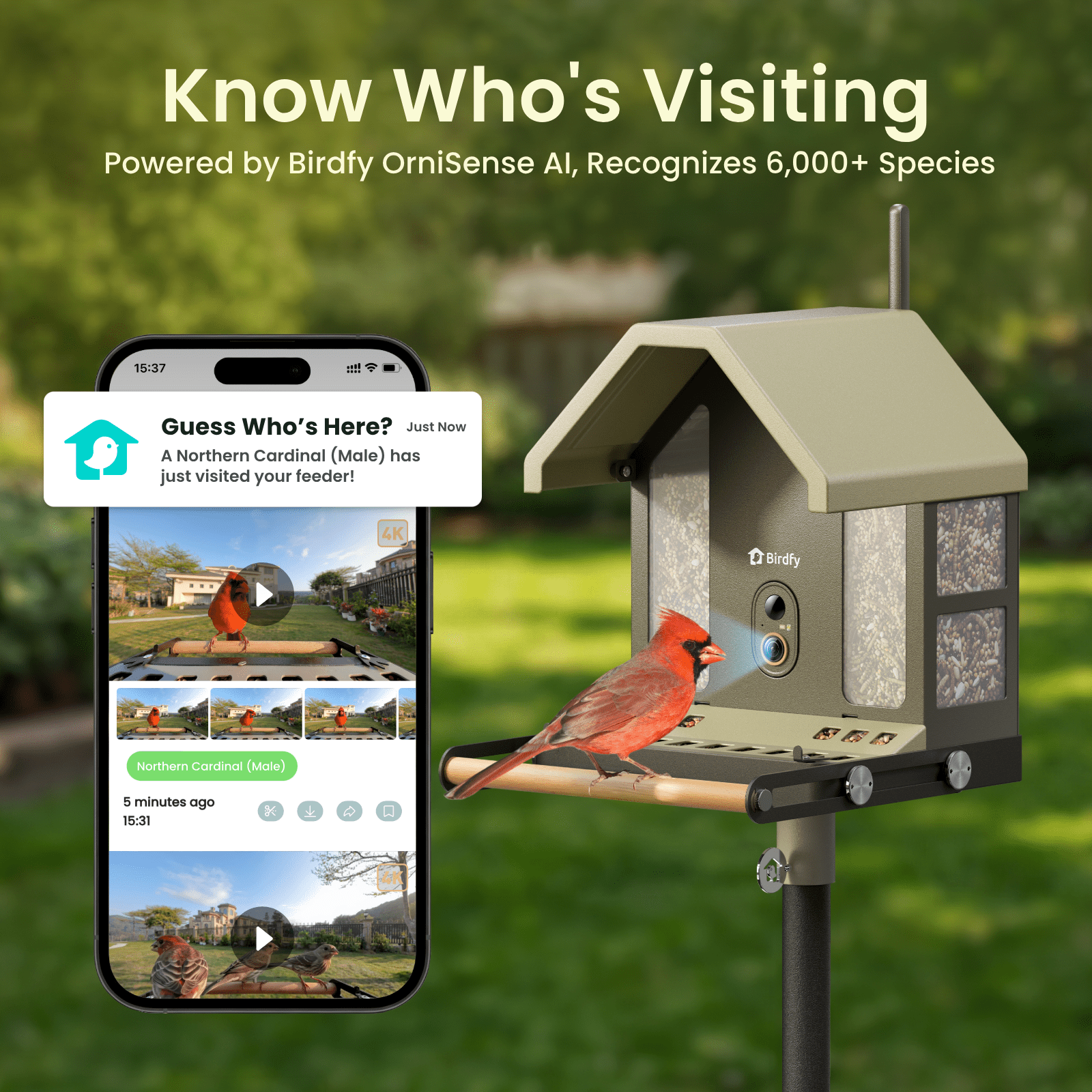 Birdfy Smart Bird Feeder with Camera, 4K Ultra HD, AI Bird Identification, Dual-Band WiFi (2.4G/5G), Color & IR Night Vision, Bluetooth Pairing, Ideal Bird Lover Gift