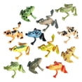 thumbnail image 1 of Modelos de Animales Zulema Juguetes Cognitivos para Manualidades Regalos Realistas Rana, 1 of 7