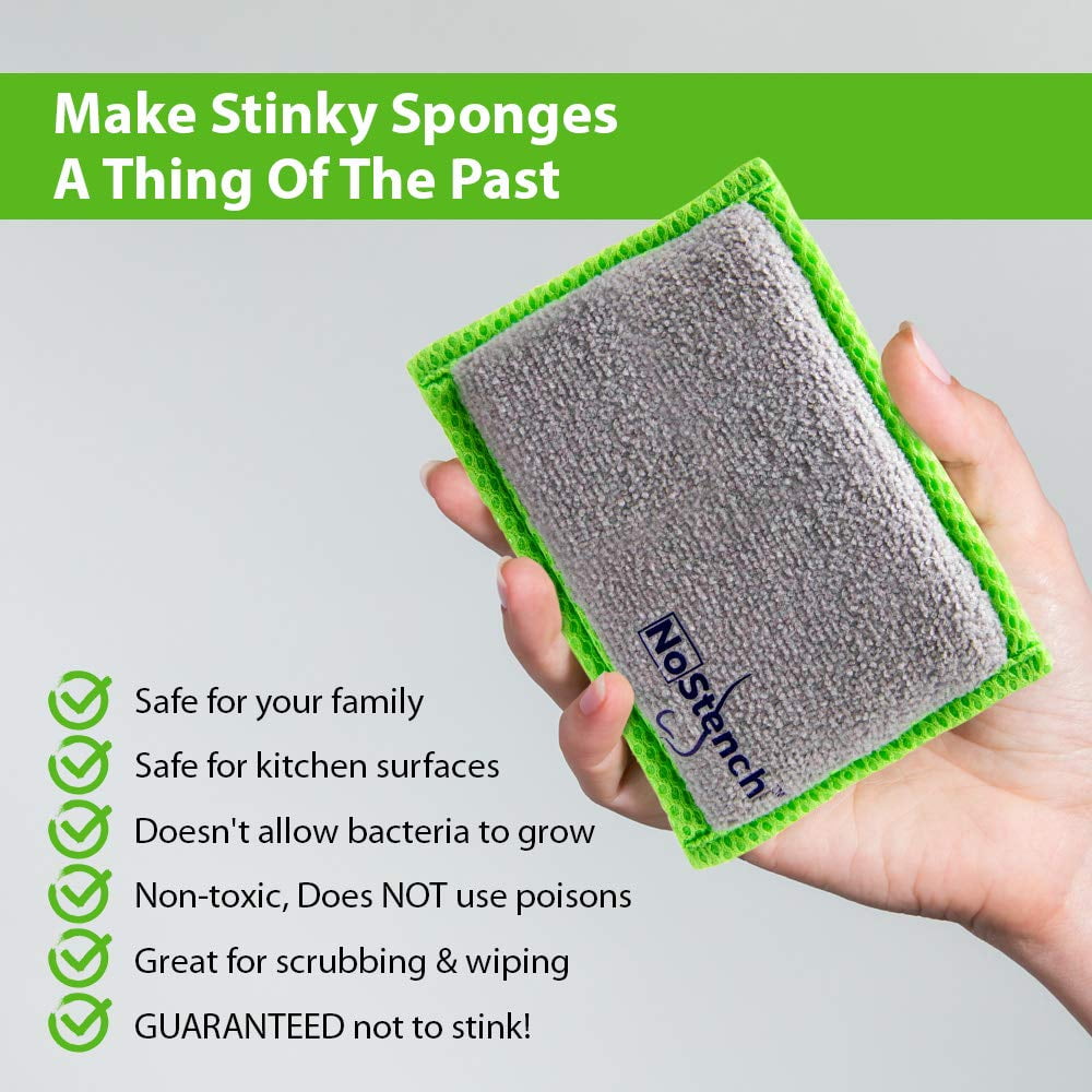 An All Natural Way To Get Rid of A Smelly Sponge - Whole Lifestyle Nutrition