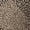 New Khaki Animal Patchwork, variant on Jessica London Women's Plus Size Stretch Cotton Boatneck Shift Dress
