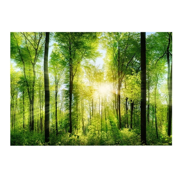 Póster adhesivo de bosque con efecto 3D para decoración de acuarios (61 x 41 cm)