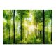 thumbnail image 1 of Póster con efecto D, póster de bosque adhesivo con efecto 3D para pecera, póster para acuario, diseño de clase mundial, 1 of 8
