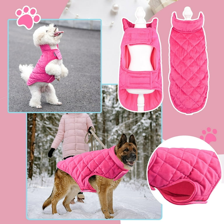 Big lots dog sweaters 2025