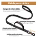 thumbnail image 3 of Collar De Perro Ajustable Y Correa Retráctil Para Perros Gra, 3 of 5