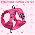 thumbnail image 5 of PayUSD Dog Harness with Leash Cat Harness No Pull Adjustable No Choke Pet Vest for Small Dogs Cats, 5 of 9