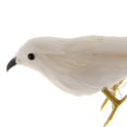 thumbnail image 4 of Pájaro de Plumas Artificiales Modelo Coleccionables Decoración para hogar - , Individual Baoblaze Simulación Pájaro Estatua de juguete, 4 of 8