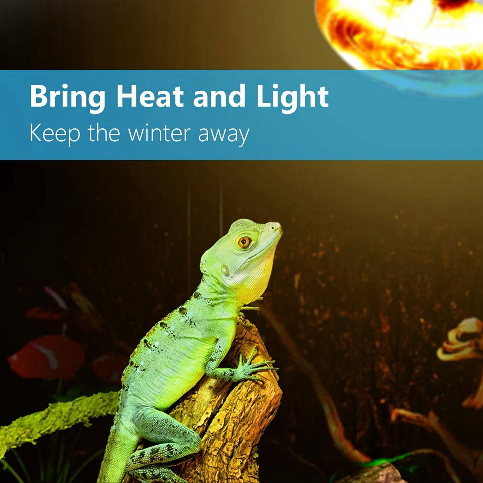 10 Pack Reptile Uvb Uva Heat Lamp Bulb for Reptiles Truly Sun-Like Bright Heat for Reptiles, Amphibian (100 W)
