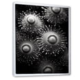 thumbnail image 2 of Designart "Monochromatic Symphony Of Sea Urchins" Coastal Coral Under Water Floater Framed Wall Decor, 2 of 5