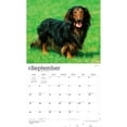 thumbnail image 4 of For the Love of Dachshunds | 2027 14x24" (Hanging) Wall Calendar | Plastic-Free, 4 of 9