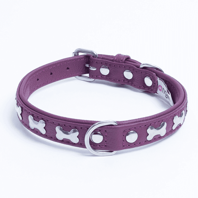 Os ROTTERDAM en Cuir pour Collier de Chien à une Rangée d'Os