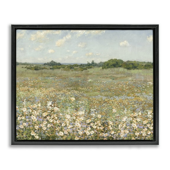 Stupell Industries Vast Flower Speckled Meadow Landscape & Nature Painting Black Floater Framed Canvas Art Print Wall Art, 21 x 17