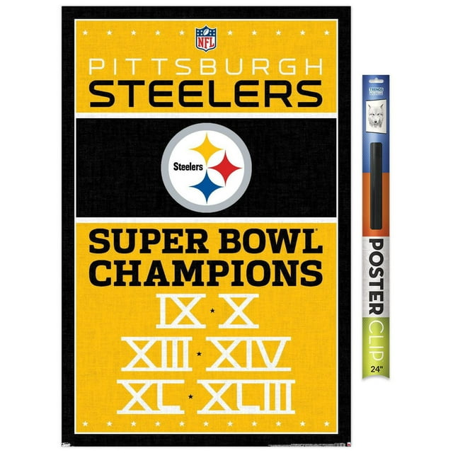NFL Pittsburgh Steelers - Champions 13