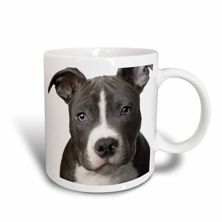 3dRose American Pit Bull Terrier Puppy, Ceramic Mug, 11-ounce