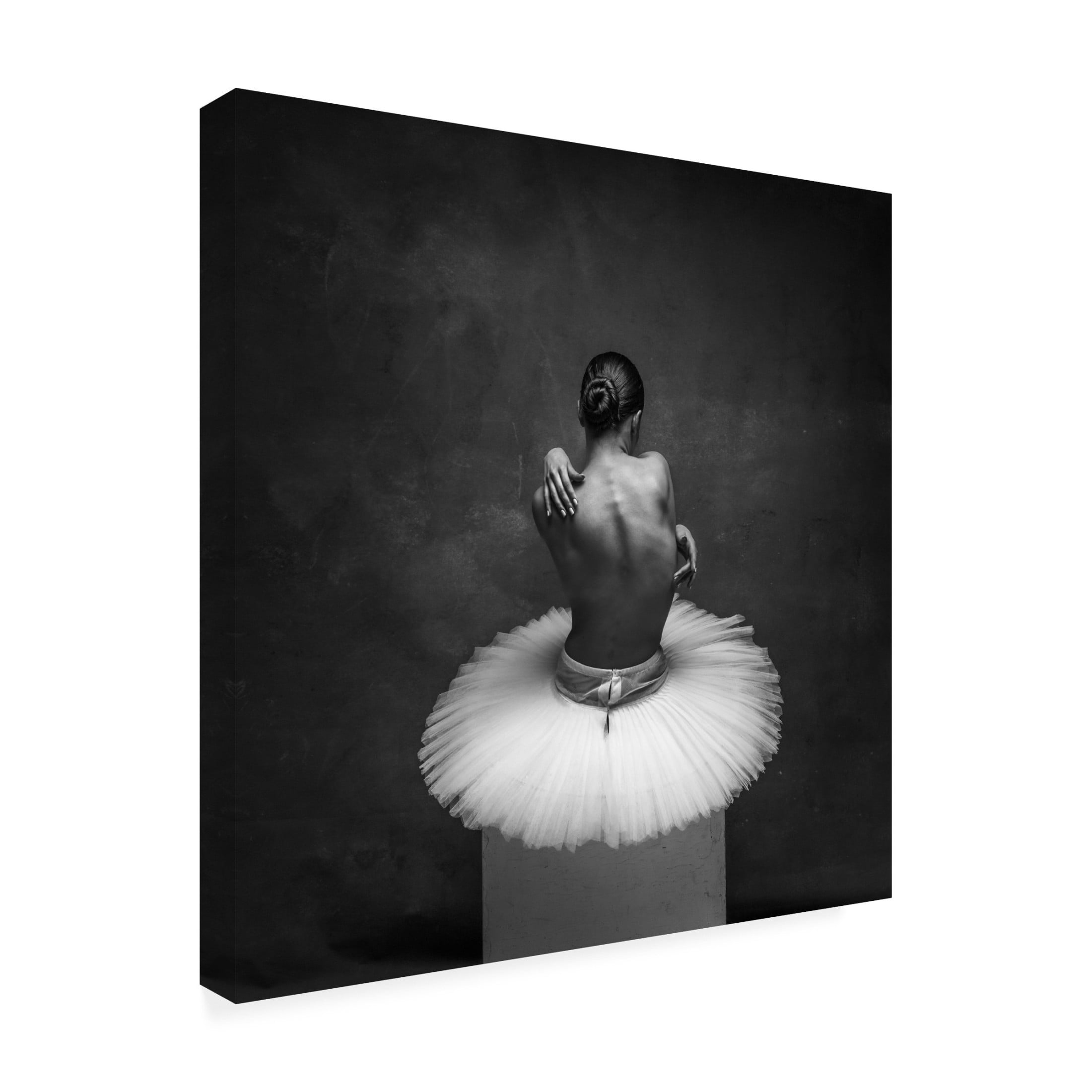 Canvas Wall Art - Alexander Yakovlev 'Grace' Wall Art for Living Room, Bedroom, or Office Décor by Trademark Fine Art - 24 x 24 Inches