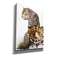thumbnail image 2 of Epic Graffiti 'Scar Face' by Barbara Keith, Canvas Wall Art, 40"x54", 2 of 8