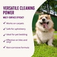 thumbnail image 5 of Health Extension Stain and Odor Remover (32oz) | Blend of Natural Enzymes and Cleaning Agents | Safe For People & Pets | 100% Natural Animal Cleaner, 5 of 7