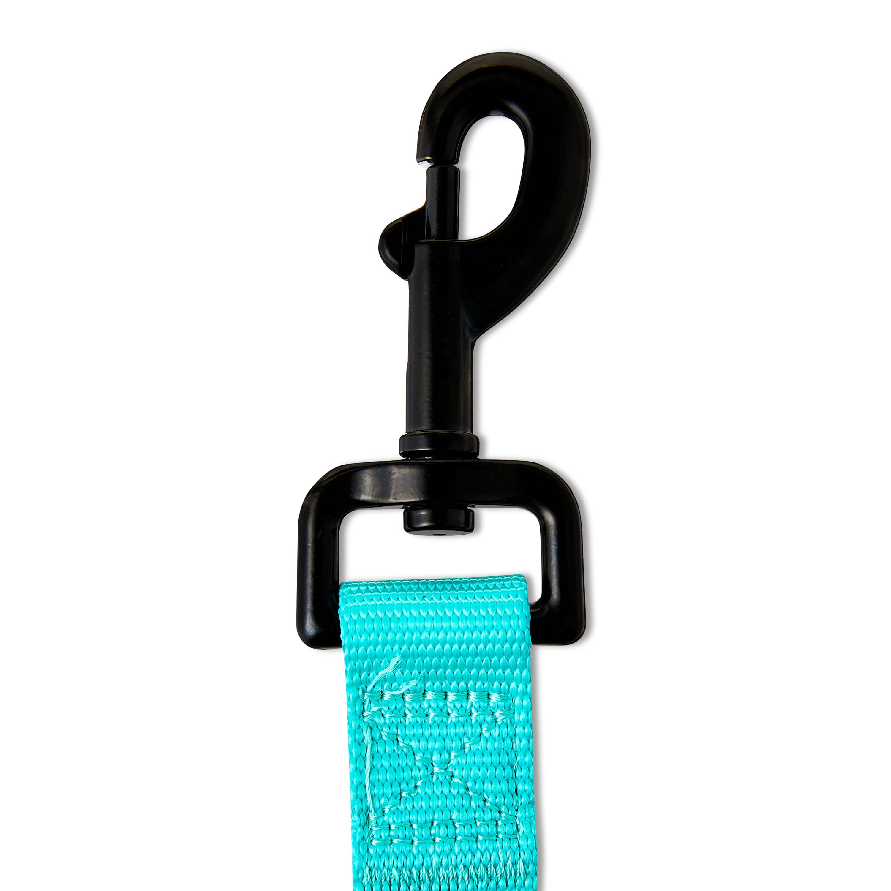 Vibrant Life 4' Polyester Standard Dog Leash, Teal